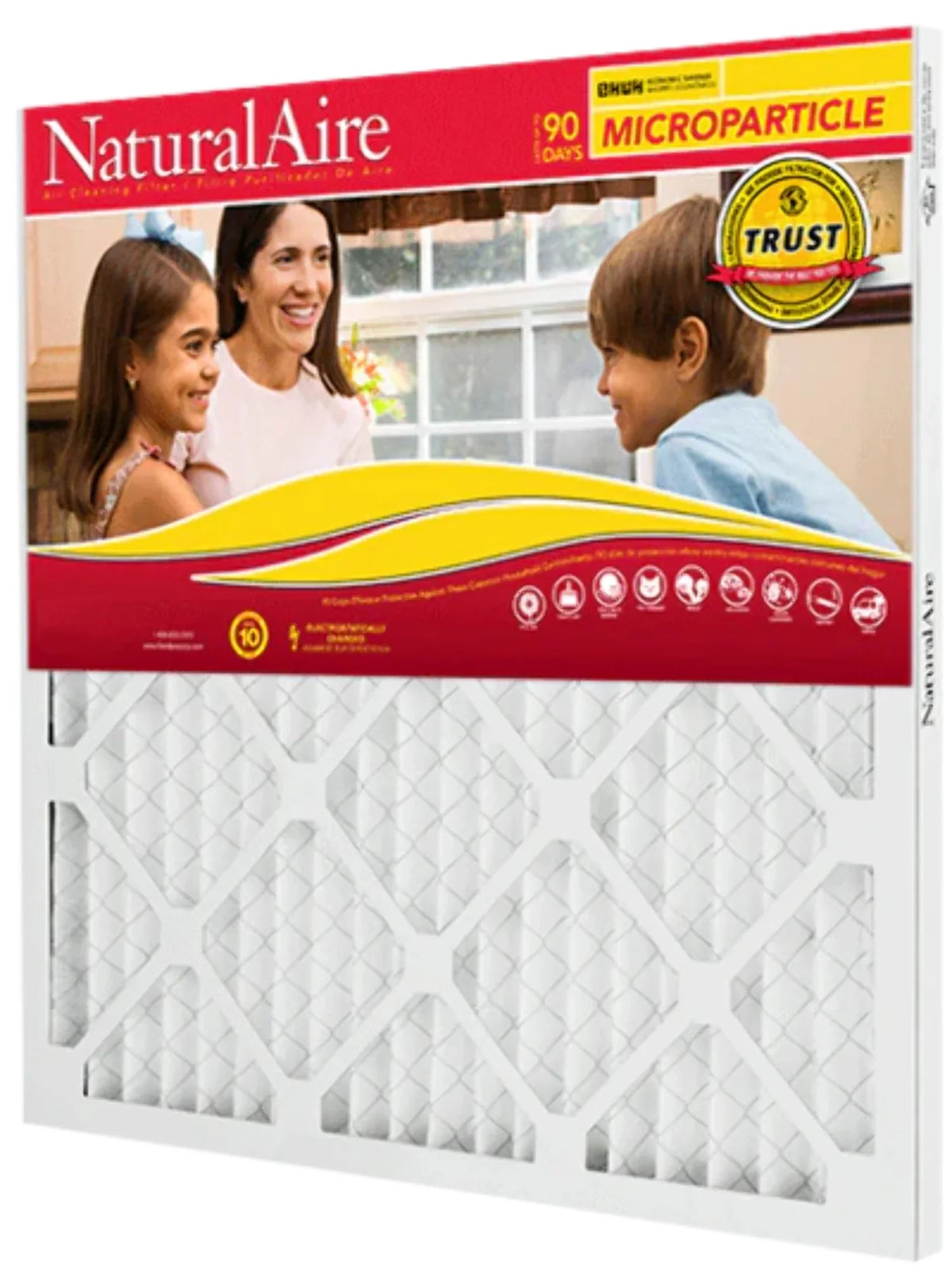 Microparticle MERV 10 85156.01175235 17.5x23.5x1 pack) NaturalAire Filters (12