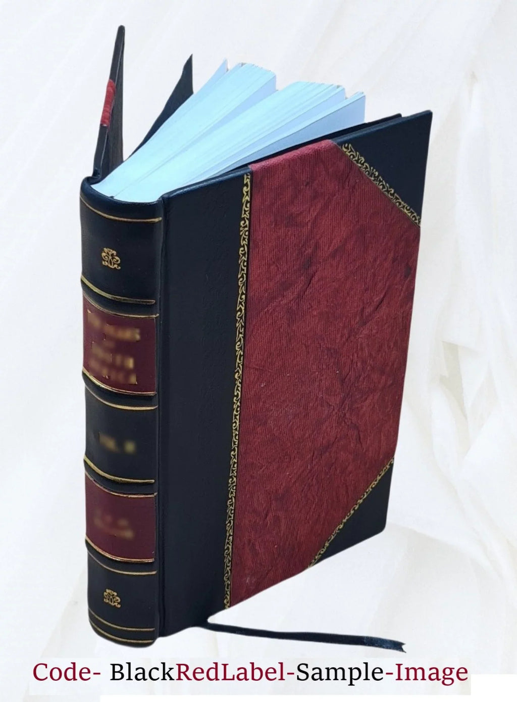 Commentarius, oratoribus penè scriptorum, in [Leather M.T. Ciceronis 1552 quum claris & Ciceronis dicitur innumerabiles De tum liber, ipsius explicantur aliorum qui Corradi Brutus, quo Sebastiani loci