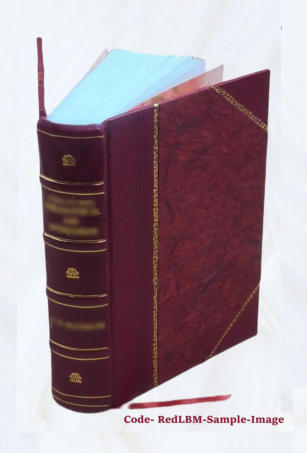 Giambatista Volume 1791 marca v.7-8 trivigiana [Leather e Verci ... Bound] di della Storia veronese,