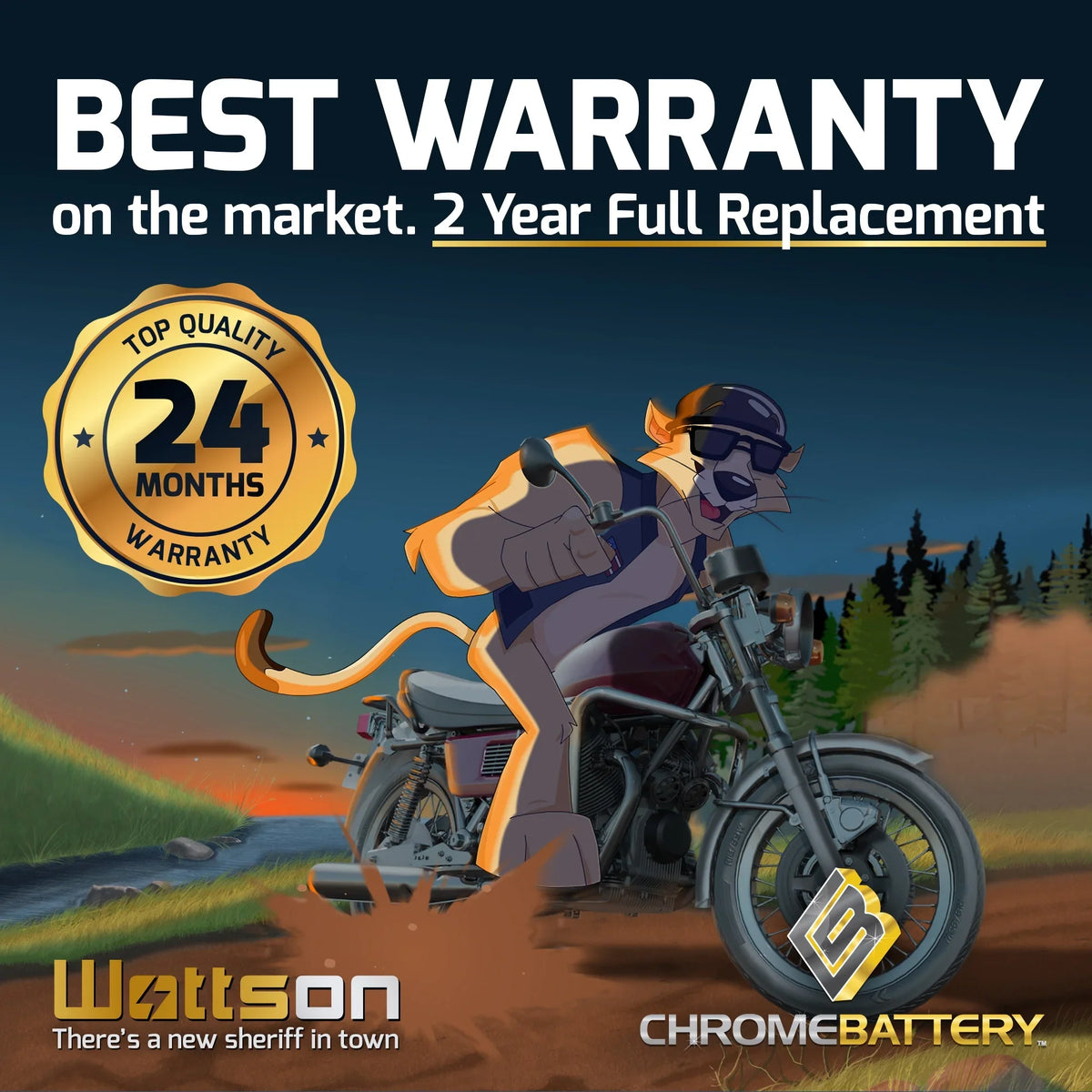 1000cc 2004 YTX12-BS Volt,10 Suzuki 12 for (12-BS Gsx-r1000 Battery 180 Ah, Battery Zipp Motorcycle CCA)